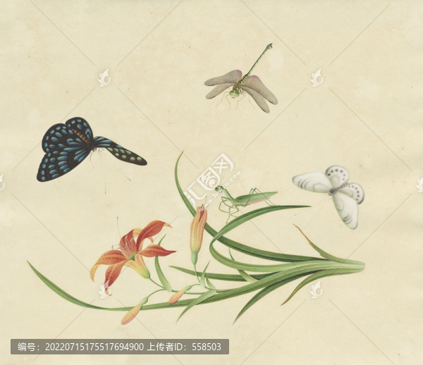 綠蔥花水彩花卉國畫裝飾畫