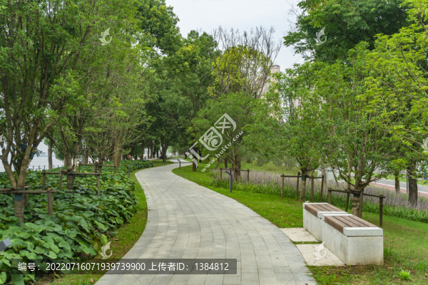 公園道路