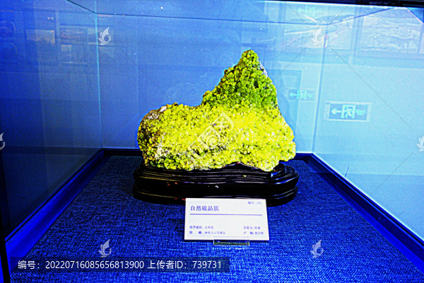 北海地質(zhì)博物館