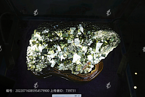 北海地質(zhì)博物館
