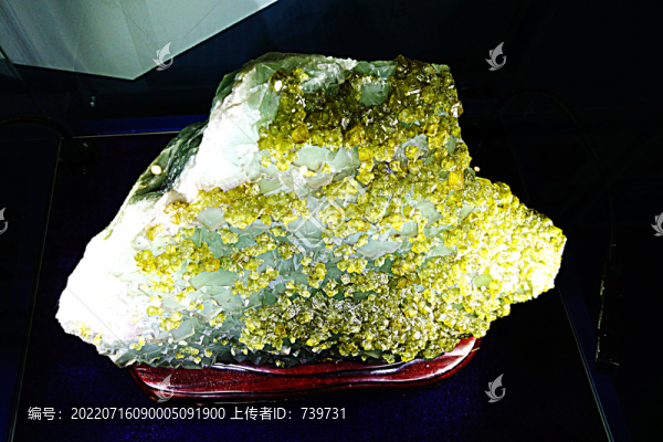 北海地質(zhì)博物館