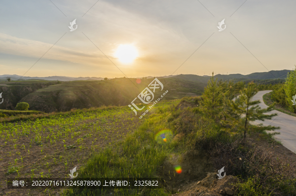 丘陵土地