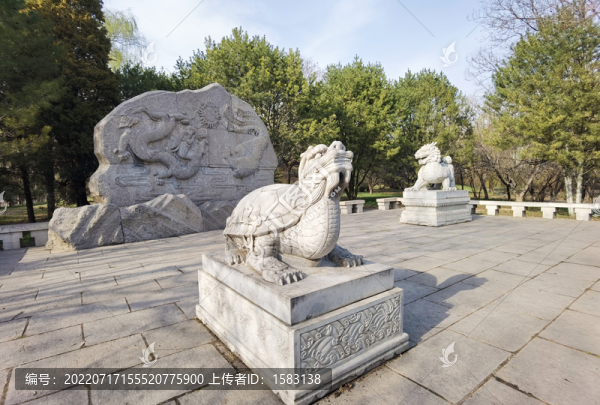 龍龜