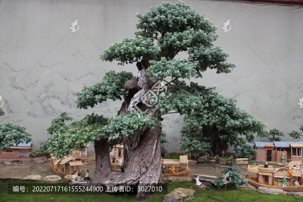 開封菊花展清明上河圖