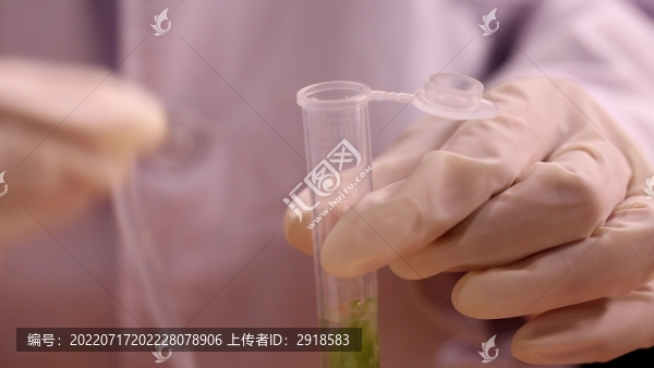 檢測員實(shí)驗(yàn)員試管采樣