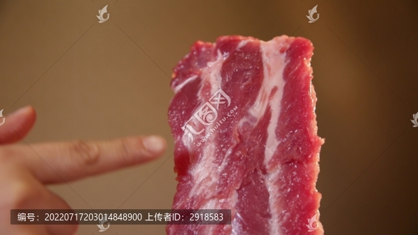 肋排排骨豬肉