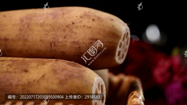 蓮藕蓮菜秋藕