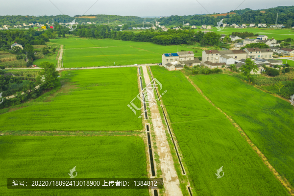 稻田航拍