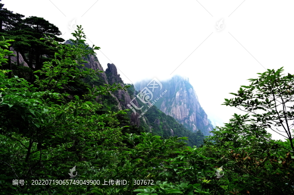 黃山