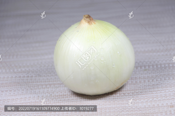 洋蔥
