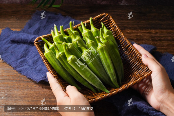 秋葵