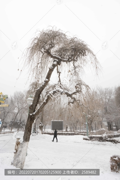 雪景
