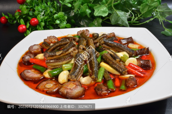 霸王鱔