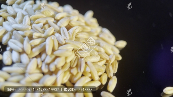 膳食纖維健康燕麥