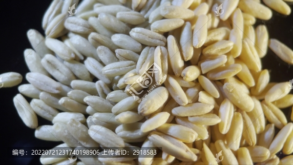 膳食纖維健康燕麥