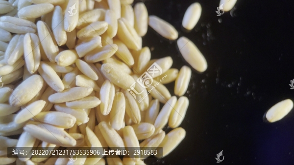 膳食纖維健康燕麥