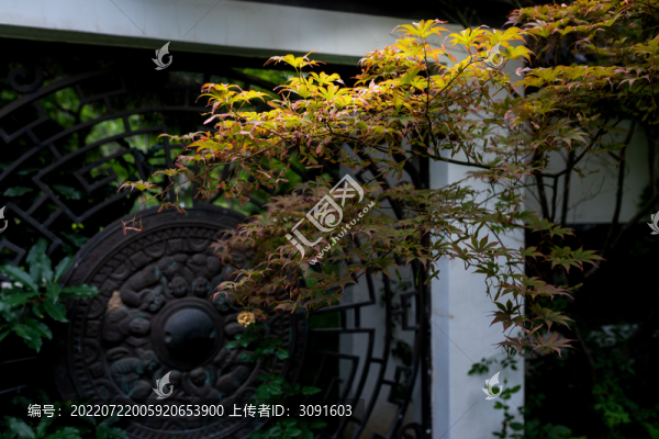 北京園博園庭院風(fēng)景