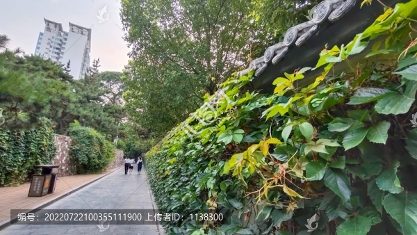 公園景色