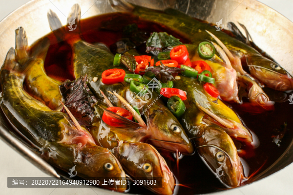 昂刺魚