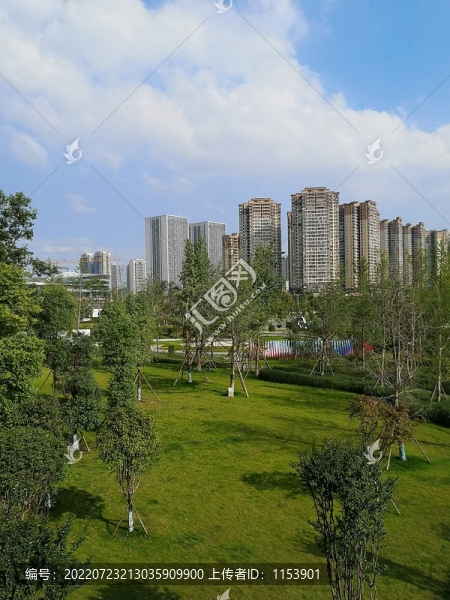 城市公園
