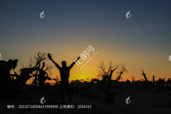 額濟(jì)納旗怪樹林