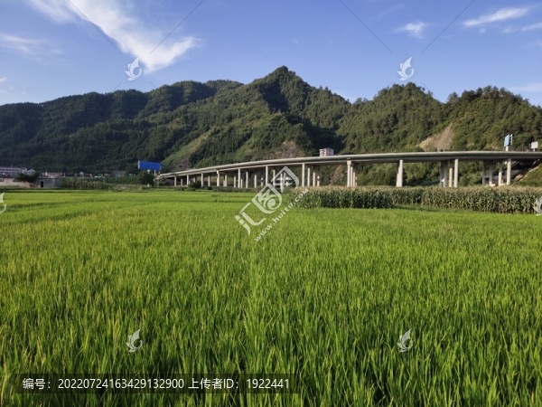 農(nóng)田