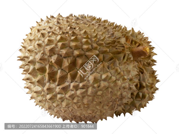 美味的熱帶水果榴蓮