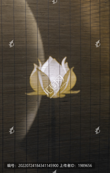 藝術(shù)荷花