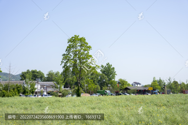 南京江寧佘村田園風光