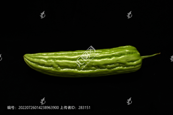苦瓜