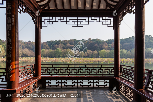 杭州北山街秋色