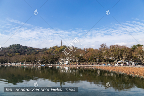 杭州北山街秋色
