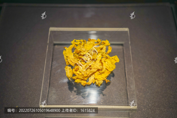 西藏植物顏料野菊花