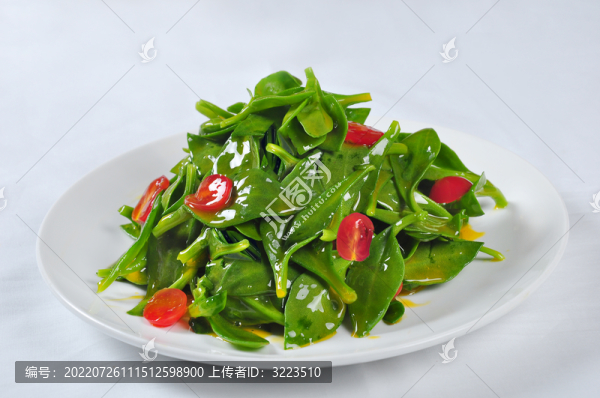 涼拌穿心蓮