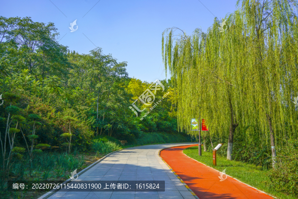 公園步道