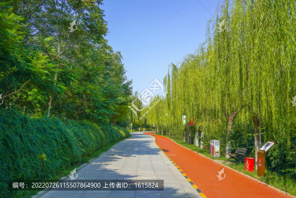公園步道