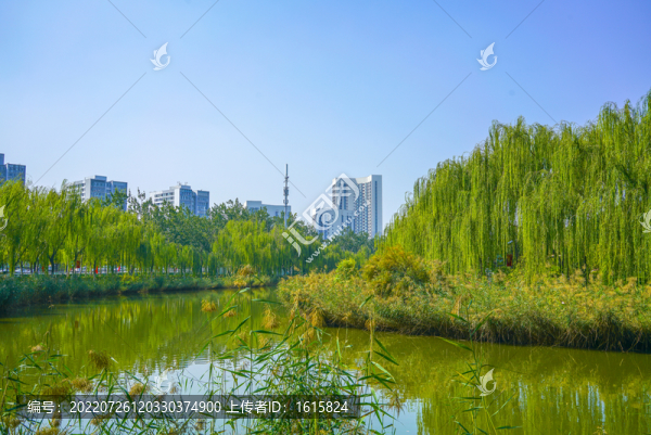 河道景觀河岸造景