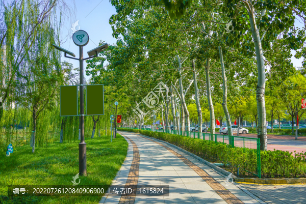 林蔭小路公園小路休閑步道