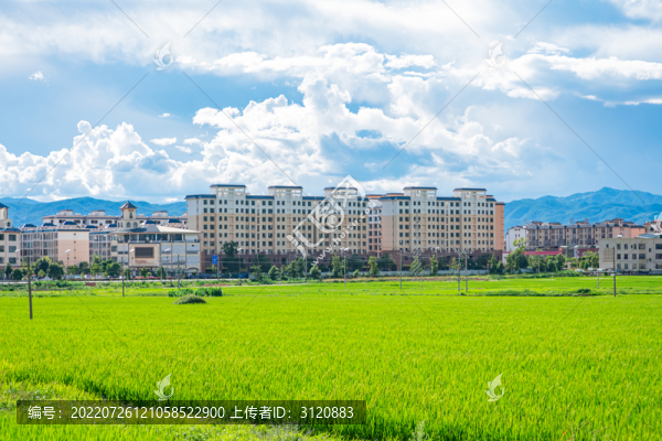 牟定縣城新貌