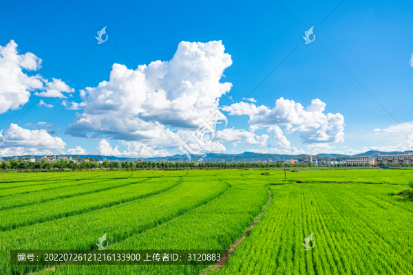 藍(lán)天白云