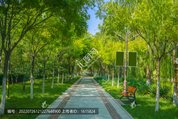 樹林小路林蔭小路園林步道