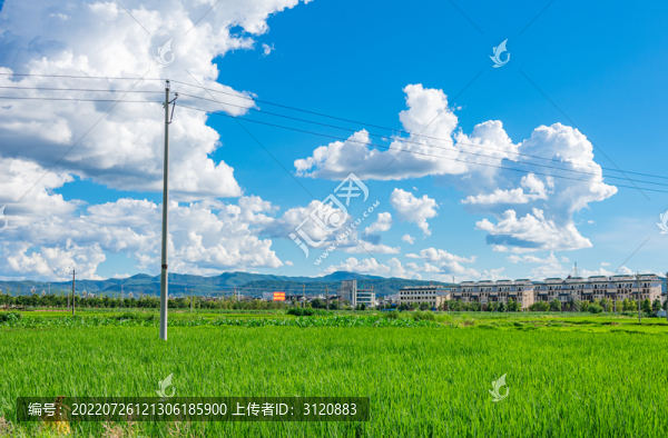 牟定縣城新貌