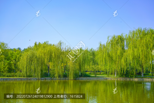 天津河道景觀
