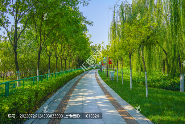 園林步道小路林蔭小路3