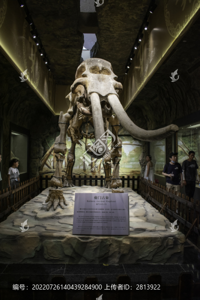 白帝城夔門古象