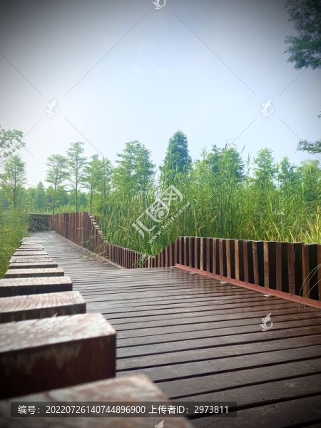 泰州天祿湖公園木棧道