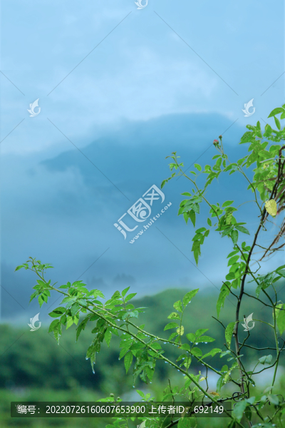 煙霧繚繞