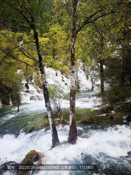高山流水