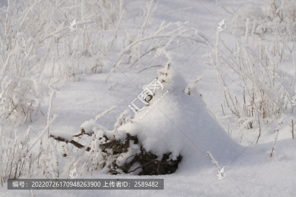 雪景