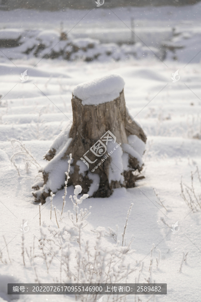 雪景